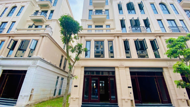 Cho thuê nhà liền kề hướng cửa Đông Bắc đường TN1-17m - MT5m/DT: 85m2 phân khu Tinh Hoa Vinhomes Cổ Loa